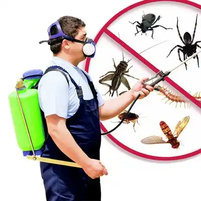 pest control Walnut Creek